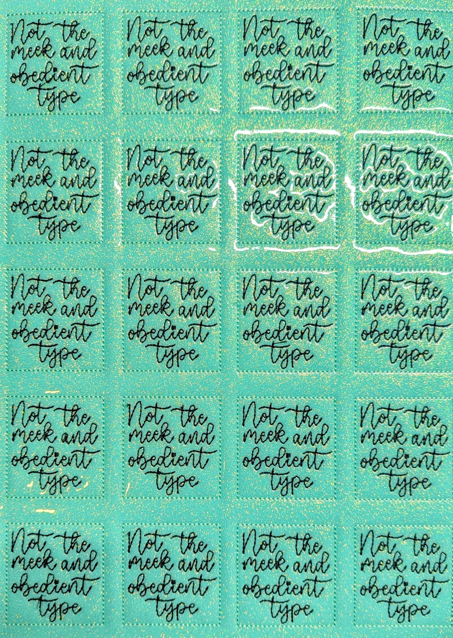 Not the Meek and Obedient Type (Outlander)