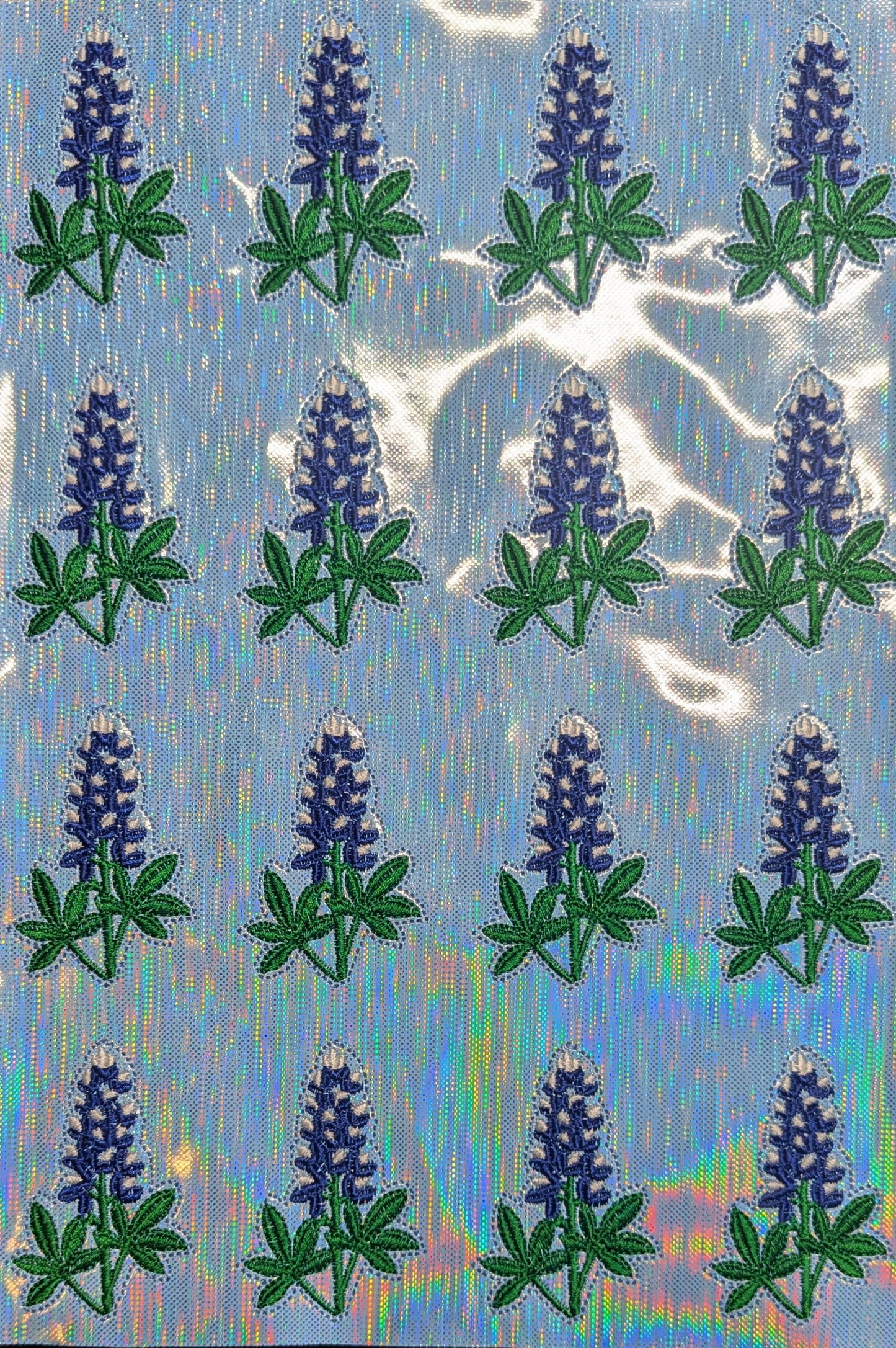Blue Bonnet