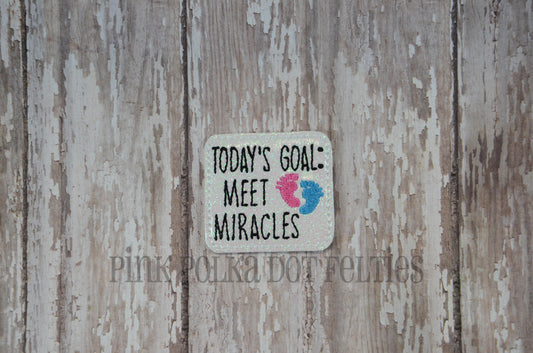 Today's Goal: Meet Miracles