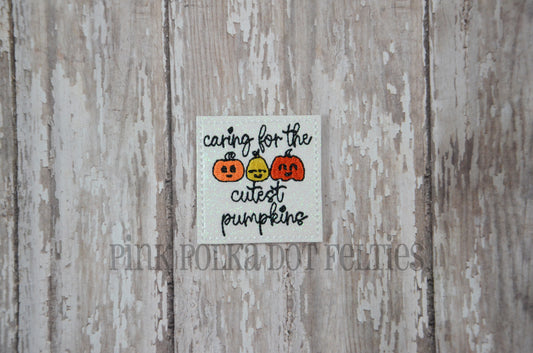 Caring for the Cutest Pumpkins