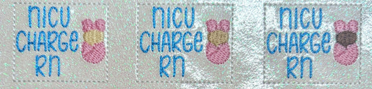 NICU Charge RN