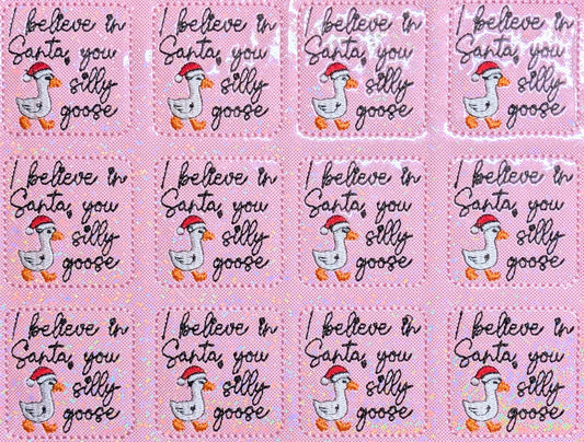 I Believe in Santa, You Silly Goose