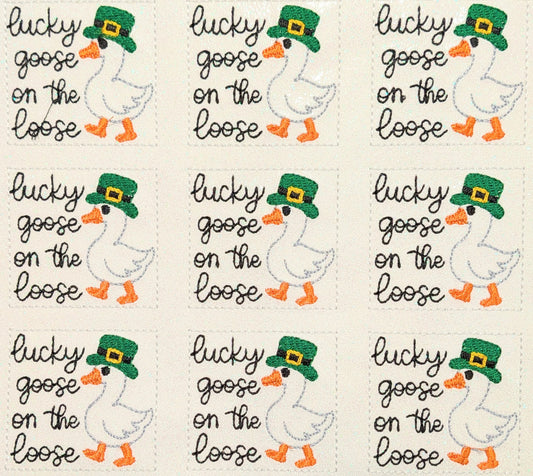 Lucky Goose on the Loose