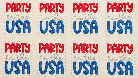 Party in the USA