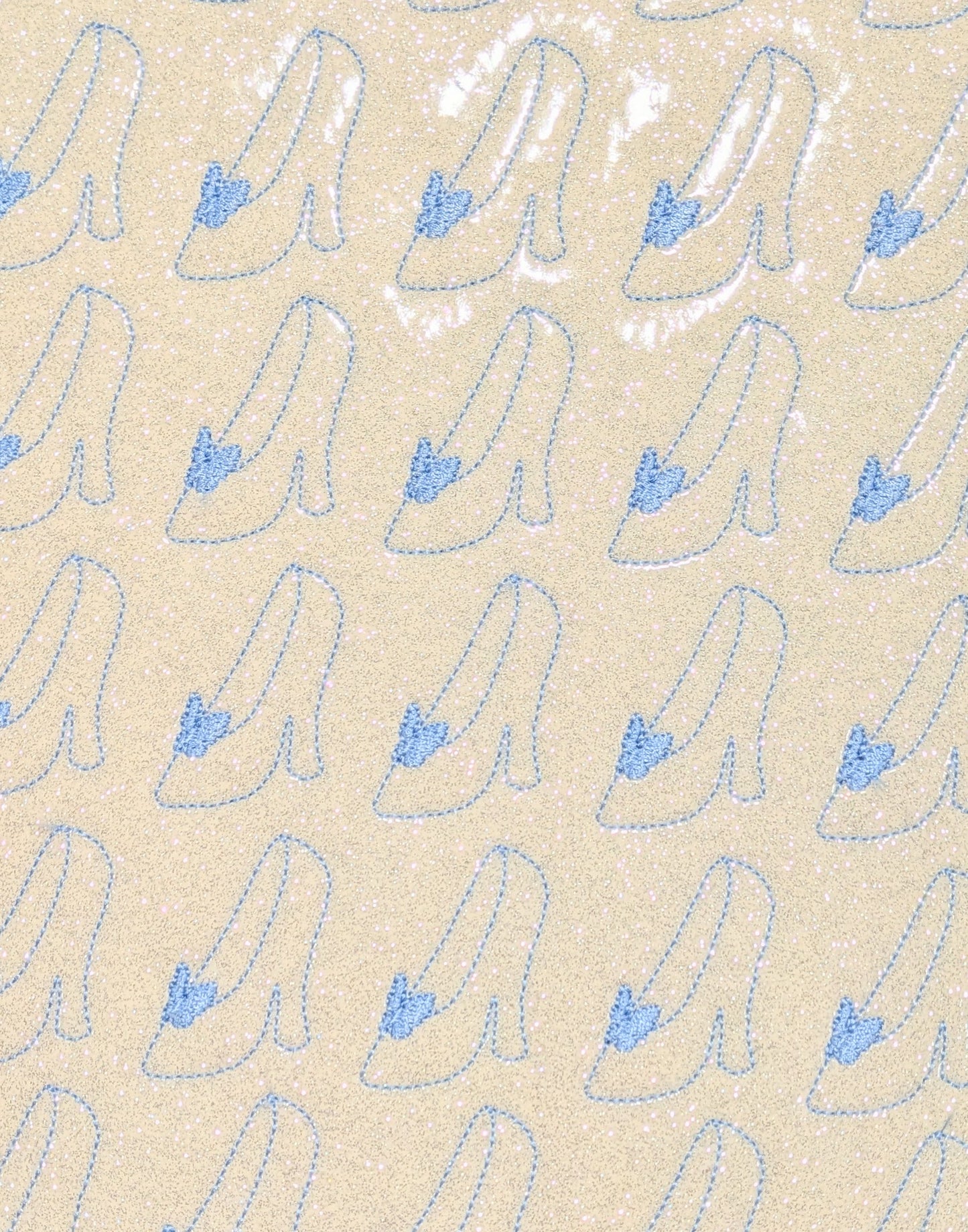 Cinderella slipper