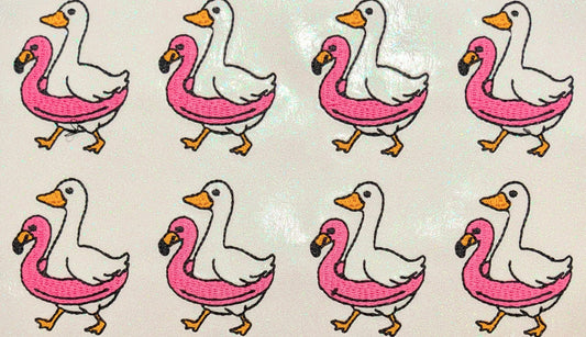 Silly Goose Floatie