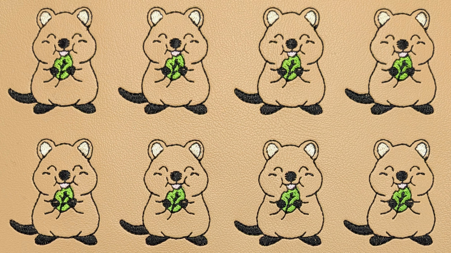 Quokka